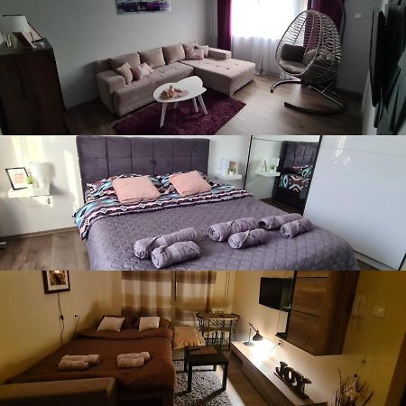 Grey & Sunny Apartments ซาเยชาร์ ภายนอก รูปภาพ