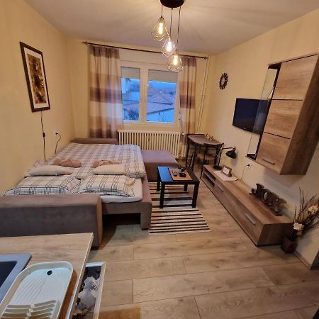 Grey & Sunny Apartments ซาเยชาร์ ภายนอก รูปภาพ